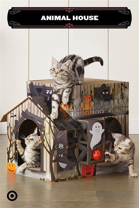 Bring The Halloween Spirit Into Your Home With Pet Accessories Like