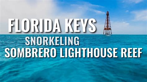 Snorkeling Florida Keys Sombrero Reef 4k Youtube