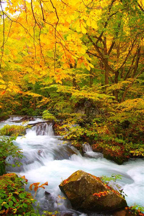 Autumn Colors Of Naruko Gorge Stock Image Image Of Rainy River 17278063