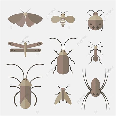 Insect Group Vector Set On A White Backgroundanimals And Insects Vector