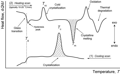 15 Schematic Cooling 1 And Heating 2 Dsc Curves Showing A Range Of