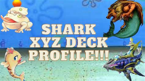 Shark Xyz Deck Profile Post Yu Gi Oh Duels From The Deep June 2022