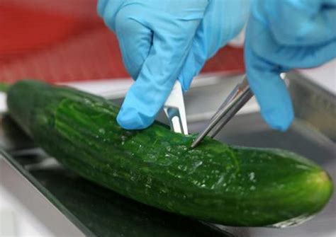 rising number of people infected by cucumber linked salmonella outbreak in the us health