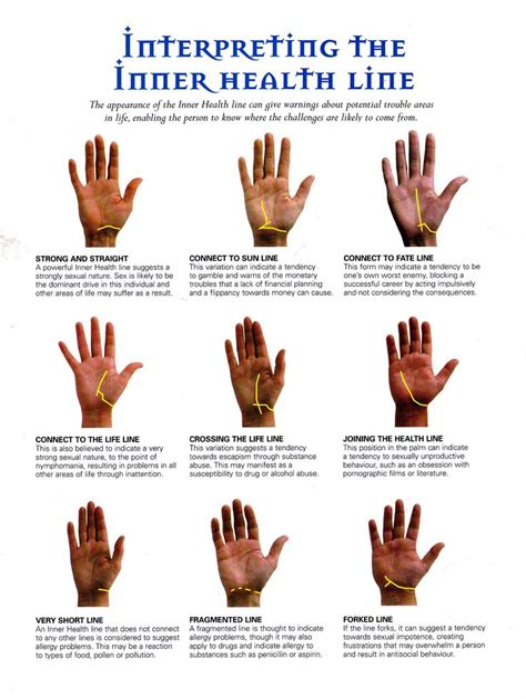 We had no clue how to actually conduct a palm reading or what the terms chiromancy or chirognomy meant. Palmistry for dummies… read your own palm! - Naomi D'Souza ...