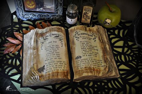 Witchs Spell Book Upcycle Crows Feet Chic