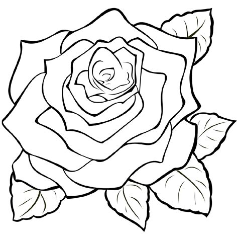 Desenho De Rosas Para Imprimir