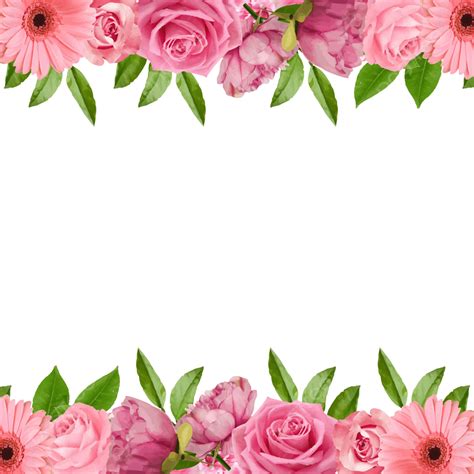 Pink Rose Floral Vector Hd Images Spring Rose Pink Floral Background