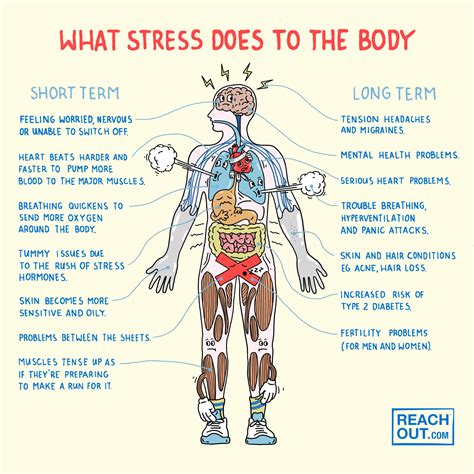 Effects Of Stress On The Body Stress Reachout Australia