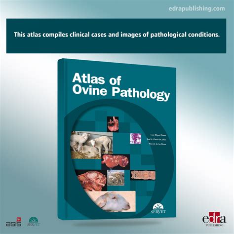 Atlas Of Ovine Pathology Veterinary Book