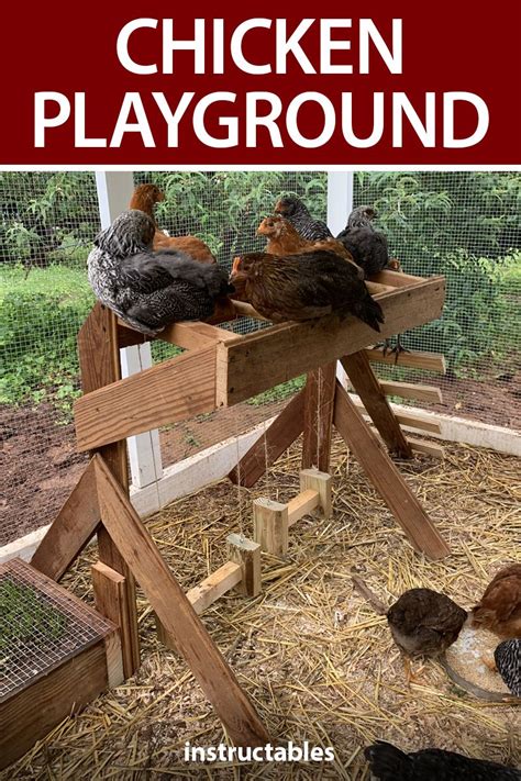 Chicken Playground Ideas Simplythinkshabby