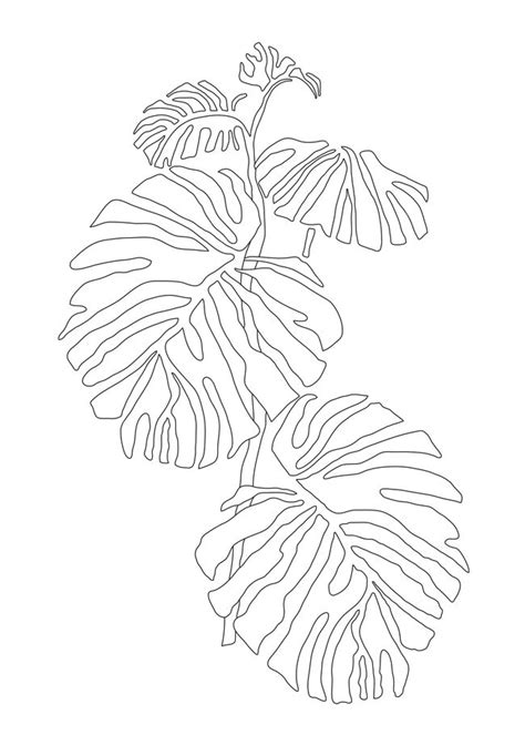 Monstera Leaf Line Drawing Mini Art Print By Andreas12 Without Stand