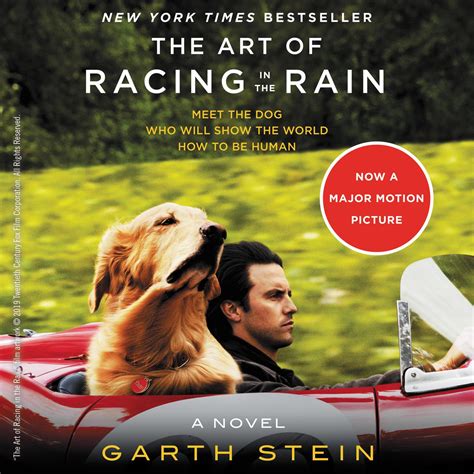 The Art Of Racing In The Rain Audiobook Listen Instantly