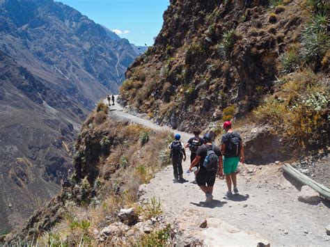 Guided Hike Into The Depths Of The Colca Canyon Wade And Sarah