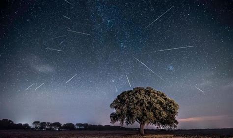Perseid Meteor Shower Nasa Live Stream How To Watch Science News