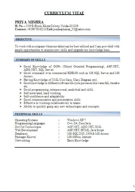 Examples Of Cv Format Free Download