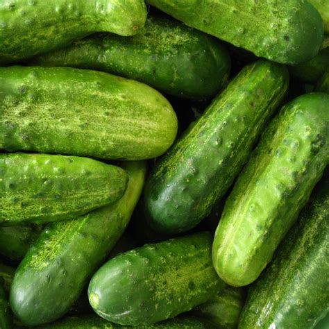 National Pickling Cucumber Seeds Victory Gardeners