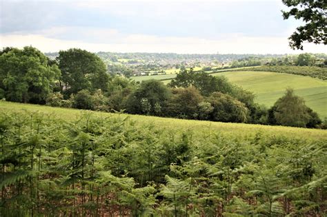 The Chilterns Aonb Cpre Hertfordshire
