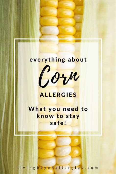 All About Corn Allergies In 2021 Corn Allergy Allergies Kids Allergies