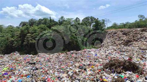 Kendari Produksi Sampah 260 Ton Per Hari Telisik Id