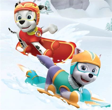 Marshall And Everest Paw Patrol Relation Ship Wiki Fandom