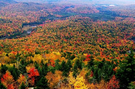 5 Best Places To Catch The Changing Fall Foliage In New York State