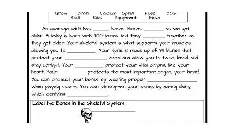 Skeletal System Worksheets | Teaching Resources