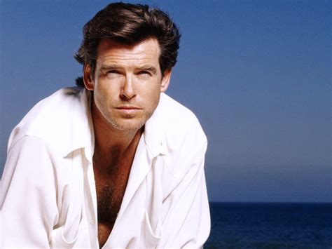 Pierce Brosnan Adorable Pierce Brosnan Wallpaper 31666945 Fanpop