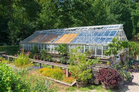 (note that free downloadable plans are also available from various online sources.) there are a lot of things to consider before choosing the greenhouse. Backyard Greenhouse Ideas (DIY, Kits & Designs ...
