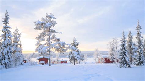 Finnair with more seats to Lapland | Travel Trade Outbound Scandinavia