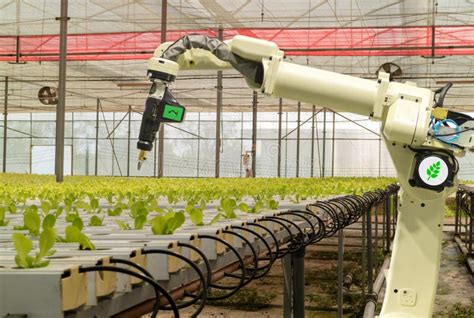 Intelligentes Roboter Im Futuristischen Konzept Der Landwirtschaft