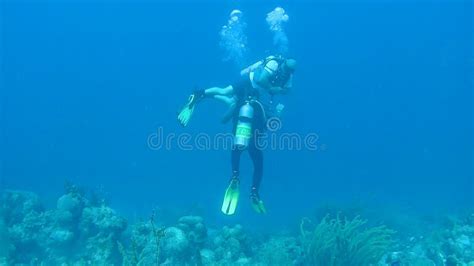 People Diving Caribbean Sea Underwater 1080p Video Stock Footage