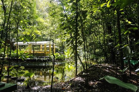 Things to do near jardim do torel. Jardim Botânico do Recife é eleito um dos 5 melhores do ...