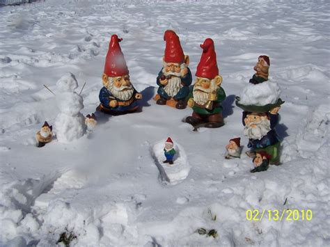 Playing In Snow Gnomes Gnomes Gnome Garden Image