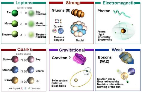 Astronomy Four Fundamental Forces