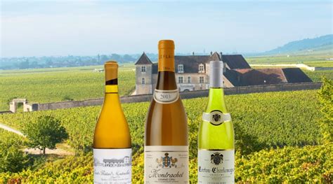 White Burgundy Wine Types Prices Best Wines To Buy In 2020