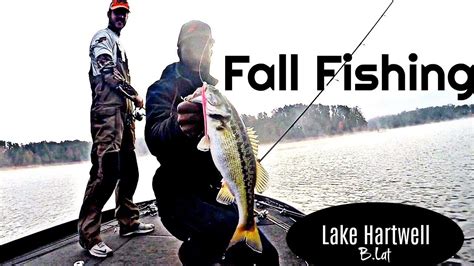 Fall Fishing On Lake Hartwell Youtube