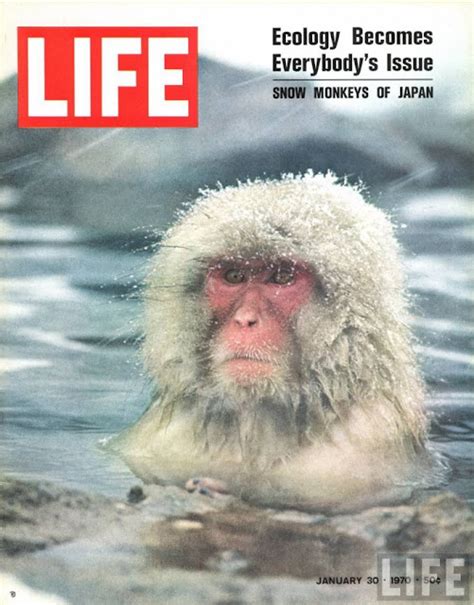 40 Best Life Magazine Covers ~ Vintage Everyday