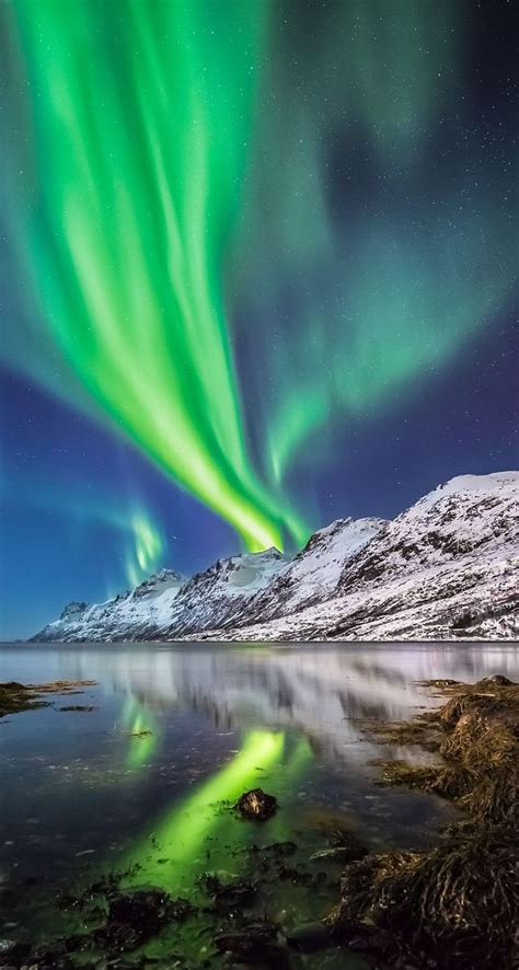 Aurora Borealis In Norway The Iphone Wallpapers