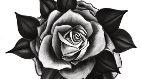Rose Tattoo Stencil How I Draw And Shade My Roses Youtube