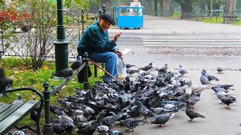 Burung ini merupakan jenis kolibri yang dilombakan dan menjadi burung jenis kolibri ninja termahal dan sedang populer di dunia kicau gantangan saat ini. Tafsir & Arti Mimpi Memberi Makan Burung, dari Memberi ...
