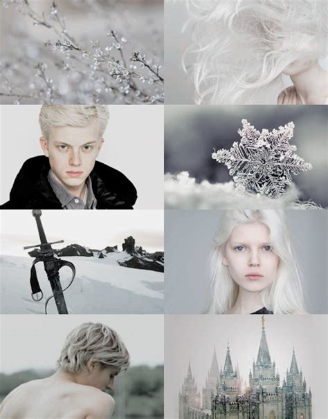 Meria And Mather Snow Like Ashes By Sara Raasch Queen Aesthetic Ice