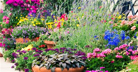 The Ultimate Guide To Creating A Successful Container Garden Home