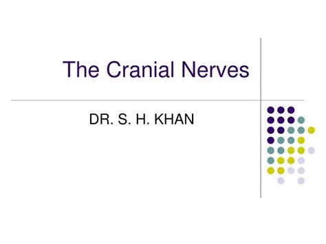 Ppt The Cranial Nerves Powerpoint Presentation Free Download Id