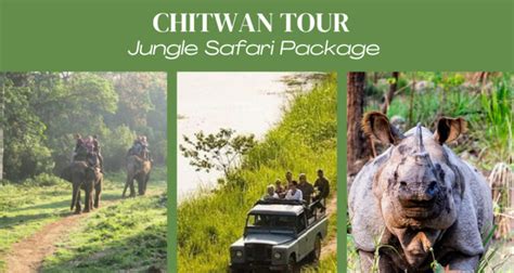 Chitwan Tour Package 3 Days Safari Tour Chitwan National Park