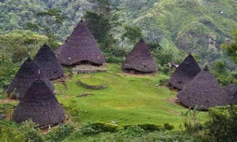 7 Rumah Adat Papua And Keunikannya Papua Id