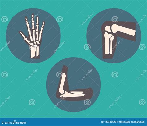 Set Of Human Knee Elbow And Ankle Joints And Wrist Emblem Or Sign Of