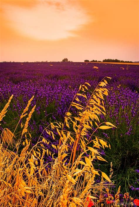Sunset At Provence Sunset Landscape Photography Landscape