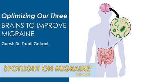 Optimizing Our Three Brains To Improve Migraine Spotlight On Migraine