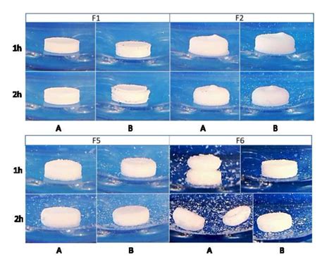 The Effect Of Alcohol On Ionizing And Non Ionizing Drug Release From