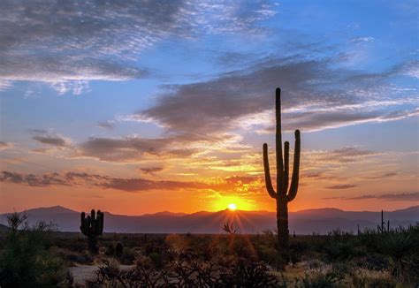 Arizona Desert Sunrise Rays With Saguaro Cactus Photograph By Ray